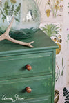 Amsterdam Green Annie Sloan Chalk Paint® Gaysha Paint & Pattern 