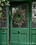Amsterdam Green Annie Sloan Chalk Paint® Gaysha Paint & Pattern 