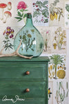 Amsterdam Green Annie Sloan Chalk Paint® Gaysha Paint & Pattern 