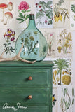 Amsterdam Green Annie Sloan Chalk Paint® Gaysha Paint & Pattern 