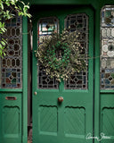Amsterdam Green Annie Sloan Chalk Paint® Gaysha Paint & Pattern 