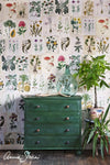 Amsterdam Green Annie Sloan Chalk Paint® Gaysha Paint & Pattern 