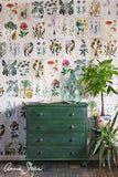 Amsterdam Green Annie Sloan Chalk Paint® Gaysha Paint & Pattern 