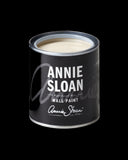 Old White Wall Paint