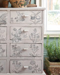 RHS Decoupage Paper Botanical Drawings