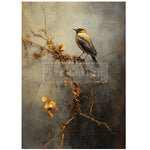 Rustic Refuge