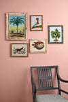 Piranesi Pink Wall Paint Annie Sloan Wall Paint Gaysha Paint & Pattern 