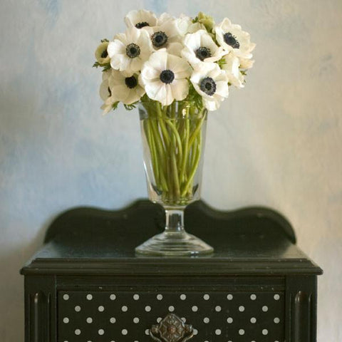 Polka Party Furniture Stencil Royal Design Studio Stencils Gaysha Paint & Pattern 