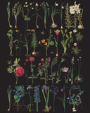 RHS Decoupage Paper Formal Garden Annie Sloan Stencils & Decoupage Paper Gaysha Paint & Pattern 