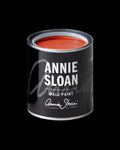 Riad Terracotta Wall Paint Annie Sloan Wall Paint Gaysha Paint & Pattern 120mlTester 