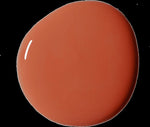 Riad Terracotta Wall Paint Annie Sloan Wall Paint Gaysha Paint & Pattern 