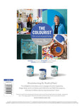 The Colourist Issue 11 Chalk Paint® Books Gaysha Paint & Pattern 