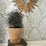 Antoinette Damask Royal Design Studio Stencils Gaysha Chalk Paint 