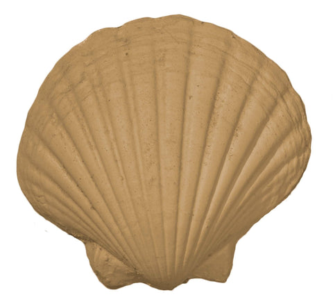 Coastal 11 Efex Decorative Appliques Gaysha Chalk Paint 