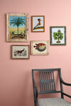 Piranesi Pink Wall Paint Wall Paint Gaysha Chalk Paint 