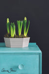 Provence Chalk Paint® Gaysha Chalk Paint 