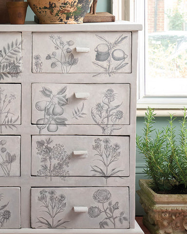 RHS Decoupage Paper Botanical Drawings Annie Sloan Stencils & Decoupage Gaysha Chalk Paint 